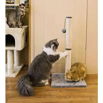 Qucey 32 Inches Tall Cat Scratching Post, Cat Scratch Post Tree Kitten Scratcher with Sisal Rope, Scratching Post for Indoor Cats with Hanging Ball