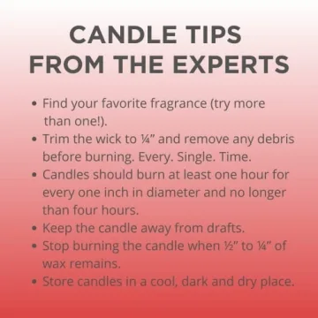 Fraser Fir Scented Soy Candle Non-Toxic Holiday Fragrance