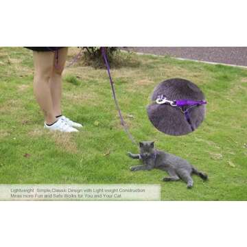 AMAGOOD 6 FT Puppy/Dog Leashes, Strong Traditional Style Leash with Easy to Use Collar Hook,Dog Lead Great for Small and Medium and Large Dog (5/8in x 6 ft, Purple)