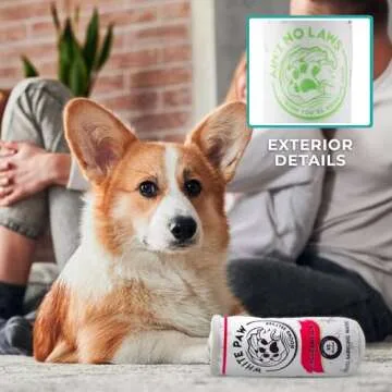 Haute Diggity Dog White Paw Waggermelon Plush Toy for Dogs