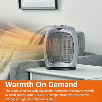 Portable Oscillating Ceramic Space Heater for Every Room