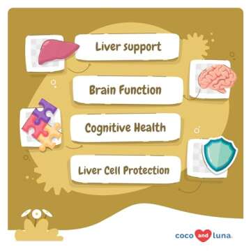 S-Adenosyl-L-Methionine and Silybin for Dogs - 90 Soft Chews - Liver & Brain Support