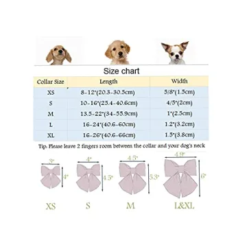 Adorable Valentine's Day Dog Collar with Bowtie