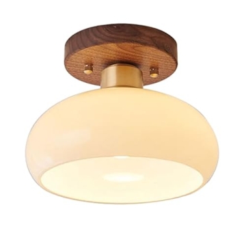 ZGAYIME Modern Glass Ceiling Light for Home Decor