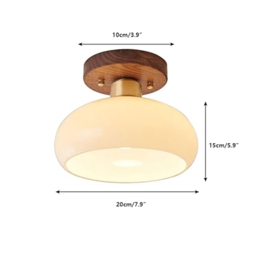 ZGAYIME Modern Glass Ceiling Light for Home Decor