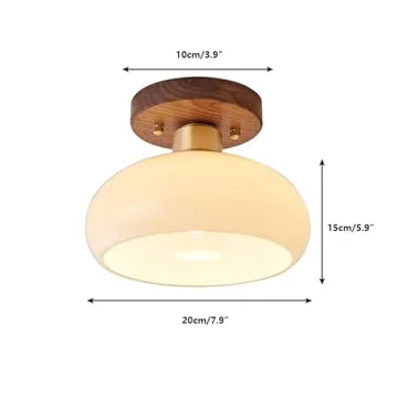 ZGAYIME Modern Glass Ceiling Light for Home Decor