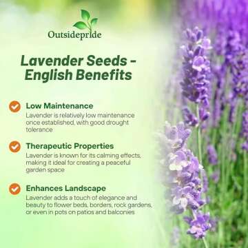 Buy Outsidepride English Lavender Seeds - 5000 Seeds