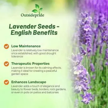 Buy Outsidepride English Lavender Seeds - 5000 Seeds