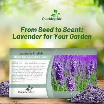 Buy Outsidepride English Lavender Seeds - 5000 Seeds