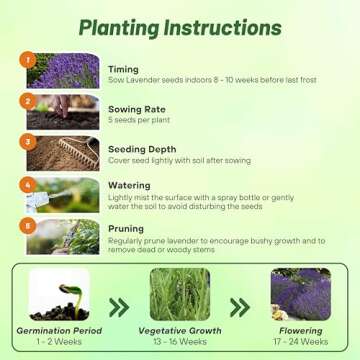 Buy Outsidepride English Lavender Seeds - 5000 Seeds