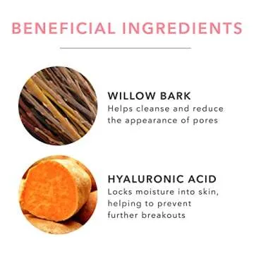 Natural Tea Tree & Willow Acne Treatment Toner - 4 Fl Oz