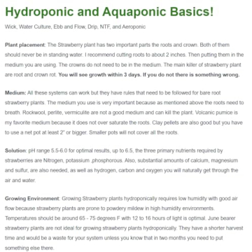 Seascape Everbearing Strawberry Plants - 10 Live Non-GMO