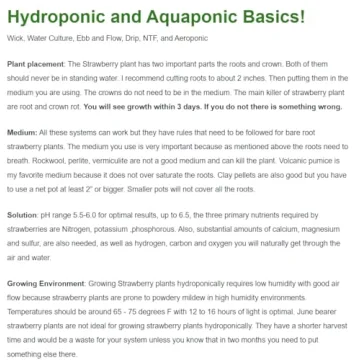 Seascape Everbearing Strawberry Plants - 10 Live Non-GMO