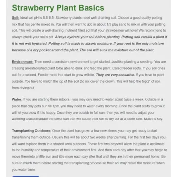 Seascape Everbearing Strawberry Plants - 10 Live Non-GMO