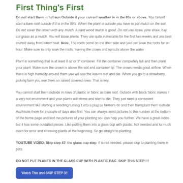 Seascape Everbearing Strawberry Plants - 10 Live Non-GMO