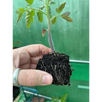 Ladbrooke Authentic Soil Block Maker - Multi 35 Commercial Long Handle, Made in England