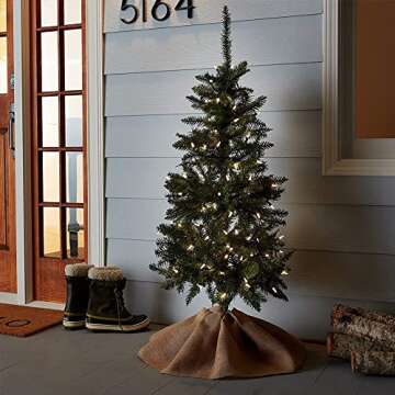 Woohaha Mini String Lights 50 Pack for Holiday Decor