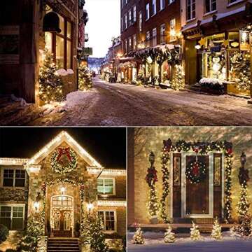 Woohaha Mini String Lights 50 Pack for Holiday Decor