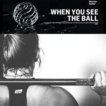 BlenderBottle 2 Pack with Stainless Steel Wire Whisk Ball and Carabiner - Two 20 Ounce Shaker Bottles with Carabiner - Pink & Plum