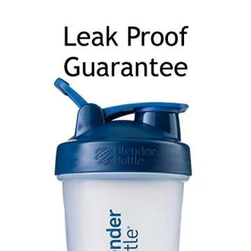 BlenderBottle 2 Pack with Stainless Steel Wire Whisk Ball and Carabiner - Two 20 Ounce Shaker Bottles with Carabiner - Pink & Plum