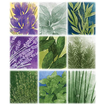 Herbaceous Card Game - Fun Set Collection for All Ages