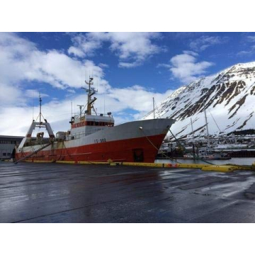 Icelandic Cod & Salmon Combo Bites for Dogs 3 oz