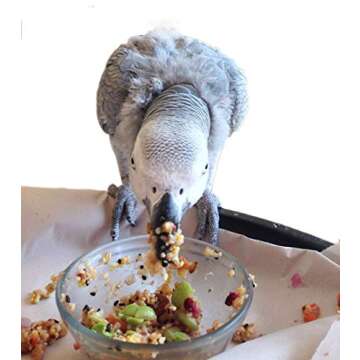 Bird Street Bistro Parrot Food - Parakeet Food - Cockatiel Food - Bird Food - Cooks in 3-15 min with Natural & Organic Grains - Legumes - Non-GMO Fruits, Vegetables, & Health Orientated Spices