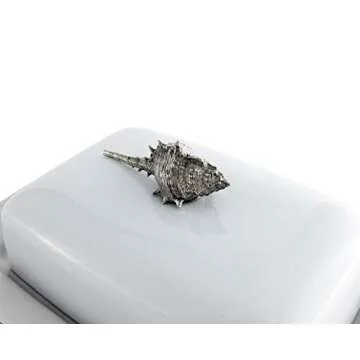 Vagabond House Ocean Shell Butter Cream Cheese Dish - Elegant Serveware