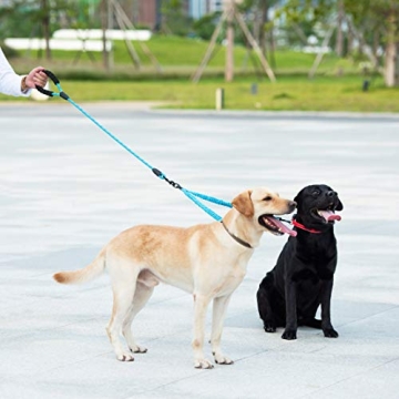iYoShop Dual Dog Leash for 2 Dogs with No Tangle Design