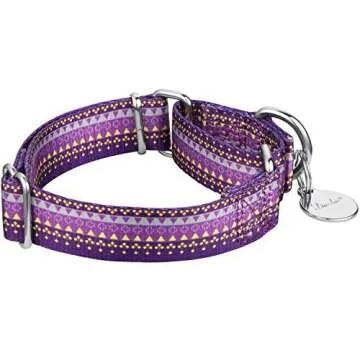 Dazzber Martingale Dog Collars - Stylish & Durable for Training Medium to Large Dogs