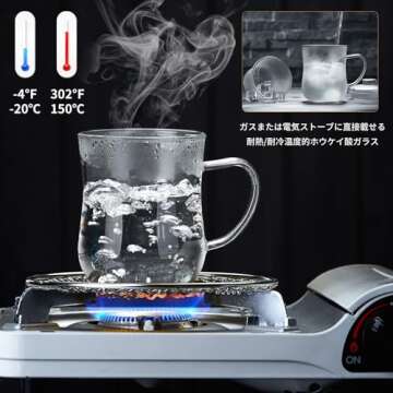 Versatile Glass Tea Cup with Infuser and Lid, 14OZ