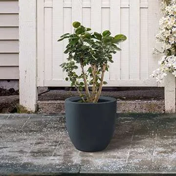 Kante 13.4" Round Concrete Planter for Home and Garden