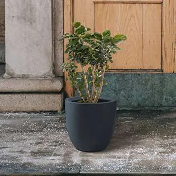 Kante 13.4" Round Concrete Planter for Home and Garden