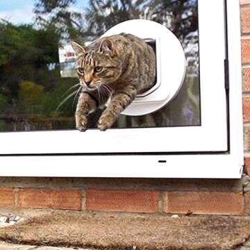 SureFlap DualScan Microchip Cat Door for Easy Access