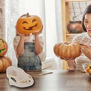 VOSAREA Fox Skull, Resin Realistic Animal Skull Bones Fox Skeleton Bone Specimen Model for Home Coll...