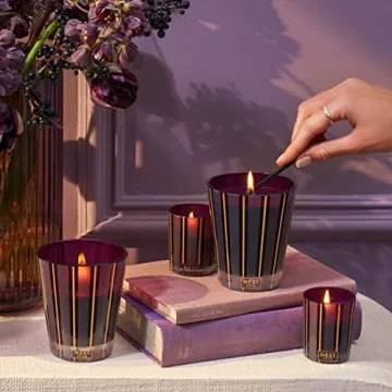 NEST New York Autumn Plum Candle - 60 Hour Luxury Aroma