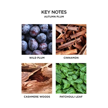 NEST New York Autumn Plum Candle - 60 Hour Luxury Aroma