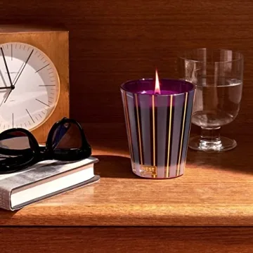 NEST New York Autumn Plum Candle - 60 Hour Luxury Aroma