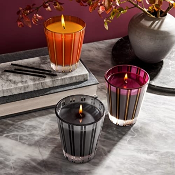 NEST New York Autumn Plum Candle - 60 Hour Luxury Aroma