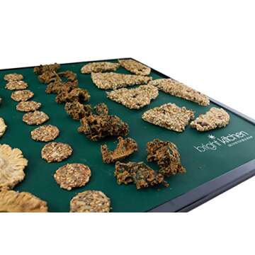 Set of 9 Silicone Sheets for Excalibur Dehydrator