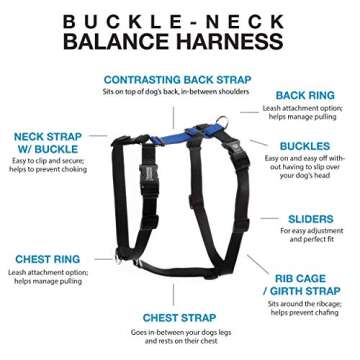 Blue-9 Pet Products No-Pull Balance Harness and Loose Leash Walking Set for Dogs
