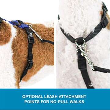Comfortable No-Pull Dog Harness for All Breeds