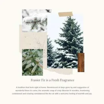 Thymes Frasier Fir Gold Candle - Festive Luxury Home Fragrance