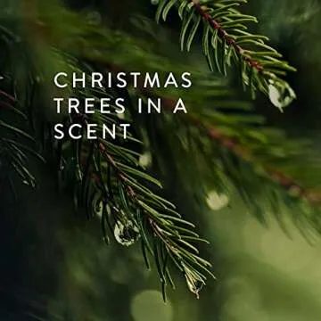 Thymes Frasier Fir Gold Candle - Festive Luxury Home Fragrance