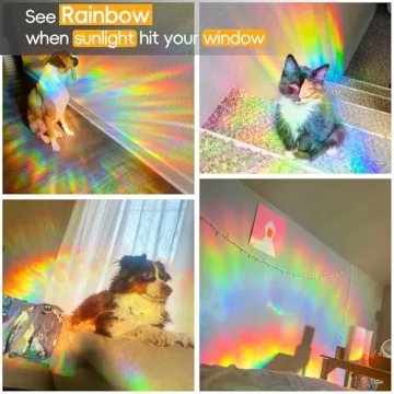 Dwersty Rainbow Window Privacy Film for Home Decor