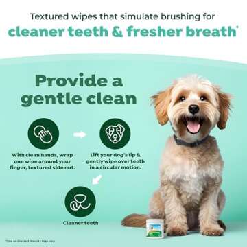 TropiClean Dental Wipes for Dogs | Fresh Breath Solution