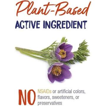 Boiron Pulsatilla 30C Homeopathic Cold Relief Pellets