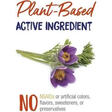 Boiron Pulsatilla 30C Homeopathic Cold Relief Pellets