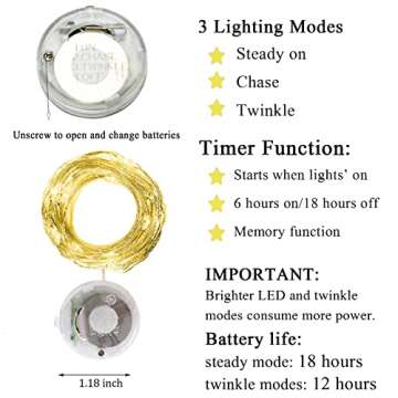 Twinkle Fairy Lights Battery Powered for Weddings and Events