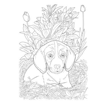 Creative Haven Lovable Cats and Dogs Coloring Book: Relax & Unwind with 31 Stress-Relieving Illustrations (Adult Coloring Books: Pets)
